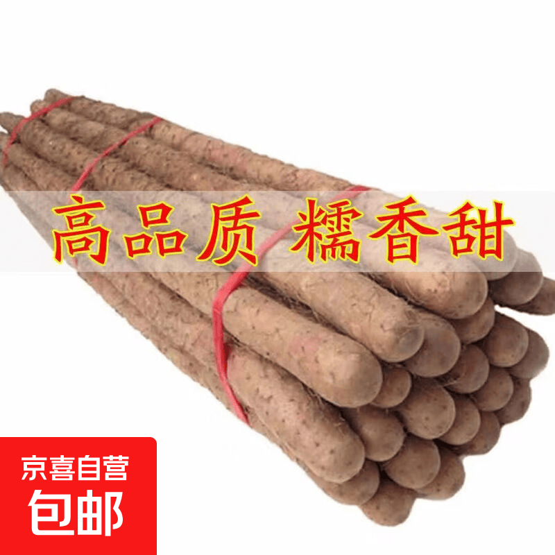 铁棍山药产地直发新鲜怀山药淮山药河北源头直发包邮 铁棍山药净重五斤