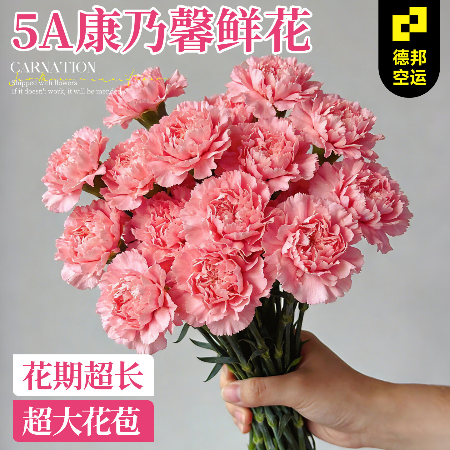 临雅康乃馨鲜花云南基地直发送母亲节礼物花束妇女节插花室内新鲜切花 【德邦上门】A级康乃馨【粉色】10枝60cm高