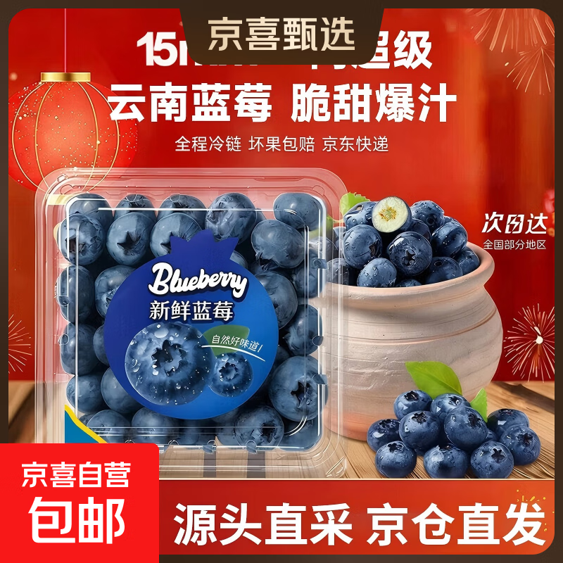 云南高山蓝莓王鲜果当季新鲜现摘花香怡颗甜蓝莓礼盒孕妇水果 品质中果【单果15mm+】 2盒小份装【70g/盒】