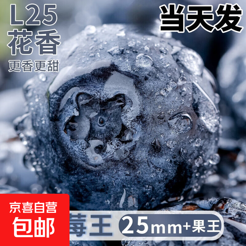 高山云南蓝莓现摘孕妇高端整箱当季新鲜水果怡颗25花香蓝梅 L25_中果【12-15mm】单盒125g 6盒