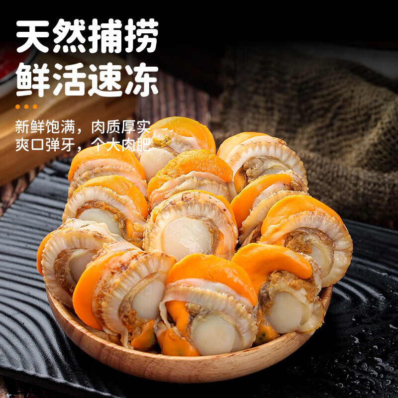 十里馋【新货上市】特大号扇贝肉纯野生海捕新鲜扇贝肉部分带黄冷冻海鲜 扇贝肉大号40-60规格 【500g】