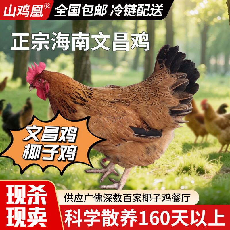 山鸡凰 文昌鸡海南文昌鸡农家散养餐厅椰子鸡新鲜整鸡走地鸡土鲜鸡肉 半只切块450g/袋 全净去脖子去屁股 整只-海南文昌鸡