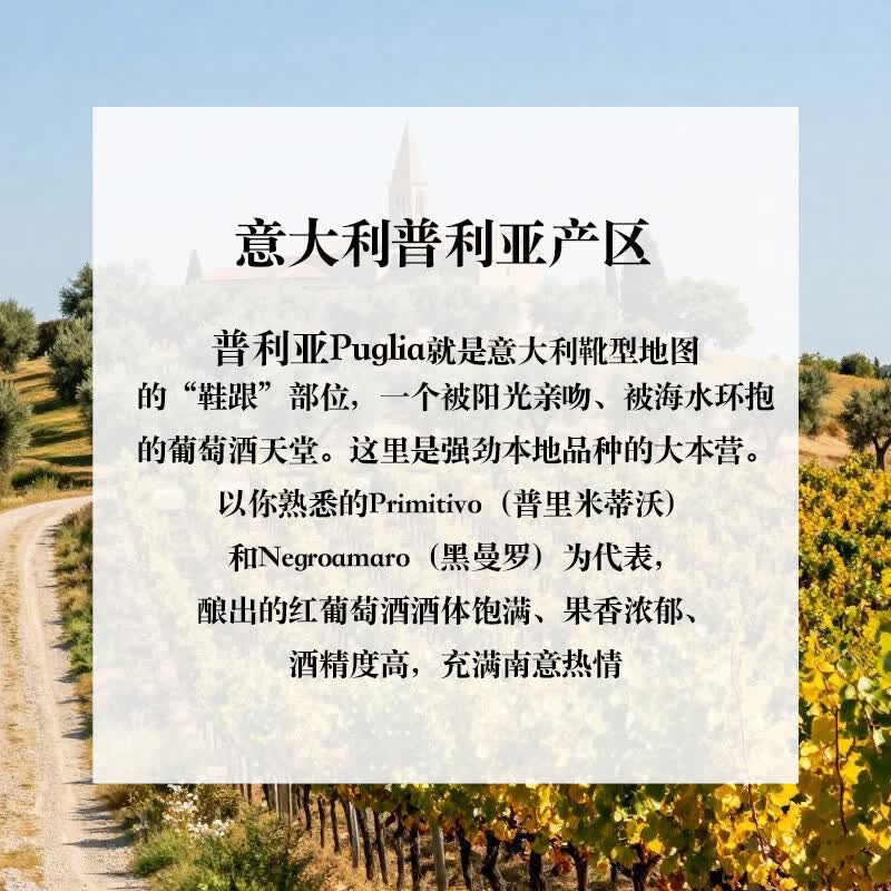 LEERER意大利DOC级珍藏Primitivo仙粉黛15度干红葡萄酒饱满浓郁送礼礼盒 【六支木箱】750ml*6
