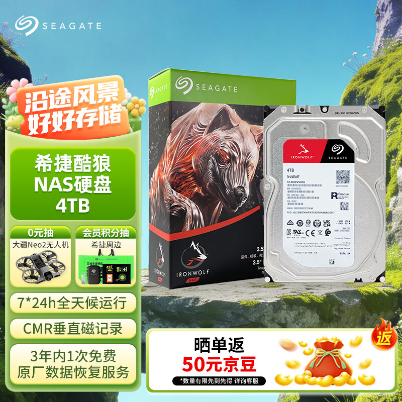 希捷（SEAGATE）NAS硬盘 4TB 256MB 机械硬盘 CMR垂直 静音低耗 数据恢复服务 3.5英寸 希捷酷狼 ST4000VN006