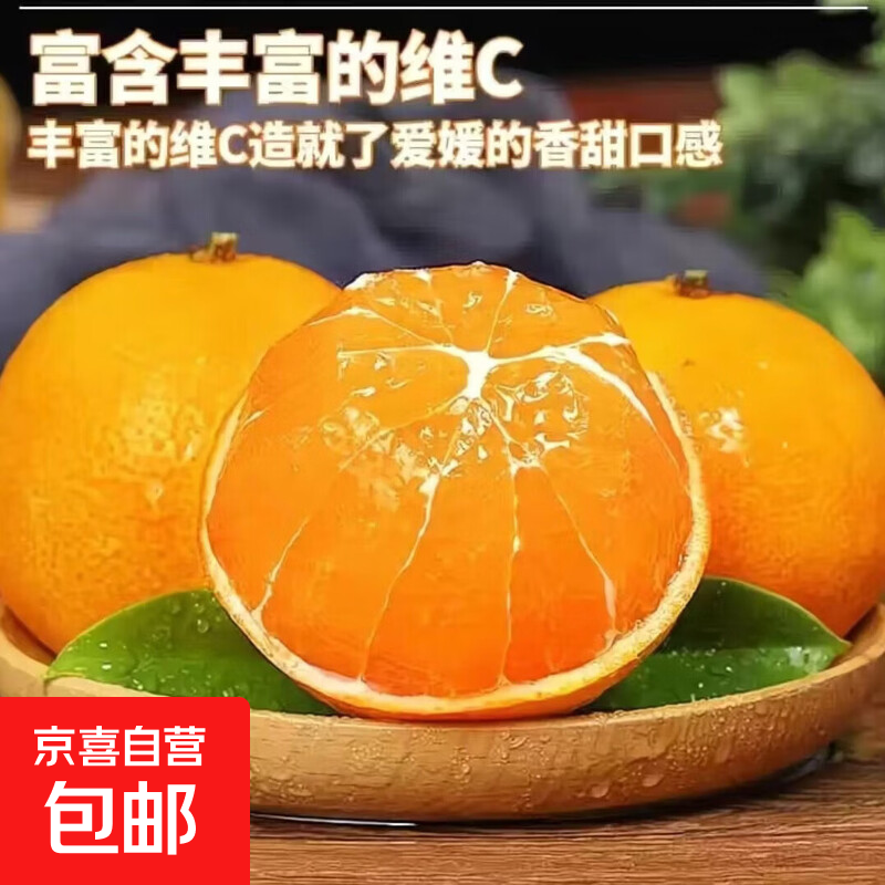 【象山发货】正宗宁波象山红美人柑橘桔子 皮薄汁水多 源于2008年 普通箱【净重4.5斤】15颗装