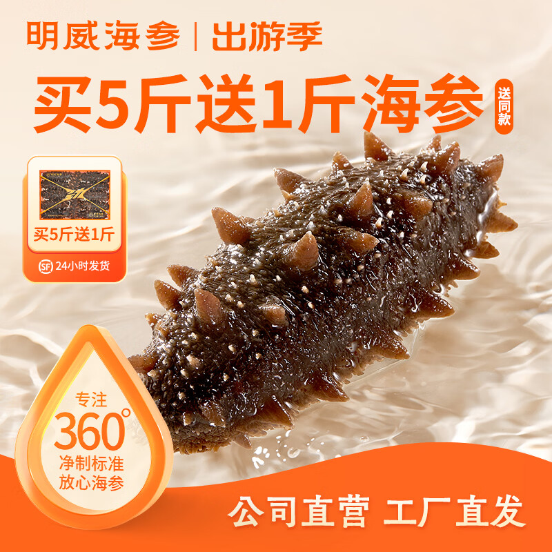 明威海参 鲜食即食海参刺参 鲜活加工独立包装单个装开袋即食冷冻海鲜礼盒 10-12头(1斤 )