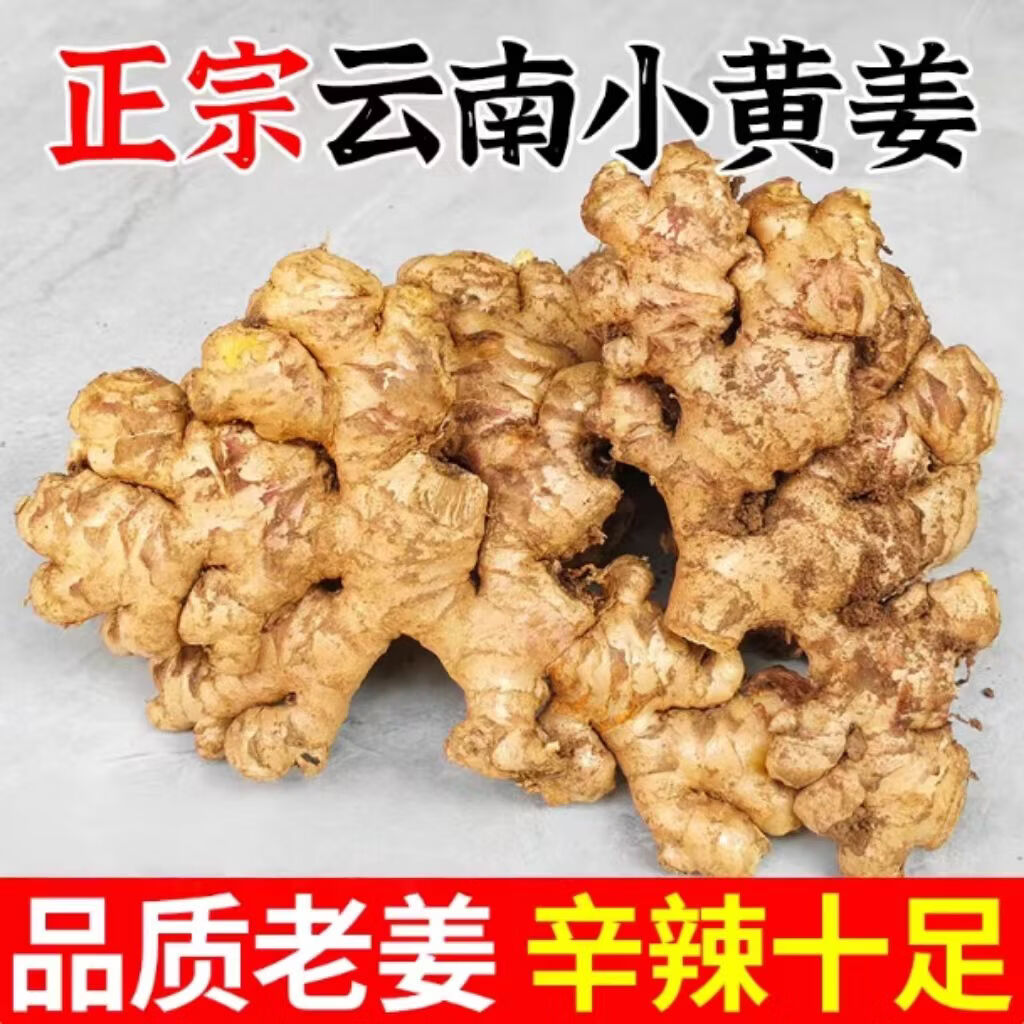 彩云之南文山高原小黄姜新鲜蔬菜辣妹生姜 云南文山小黄姜净重9斤