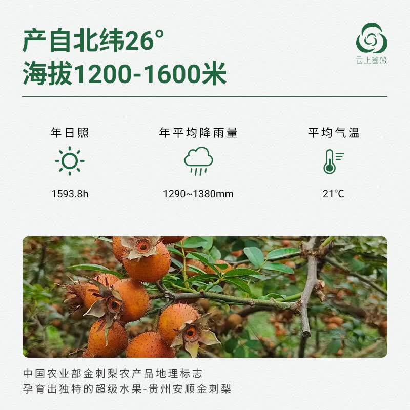 云上蔷薇贵州金刺梨汁VC天花板100%原汁原液优选好物50ml*10瓶 50ml*10瓶-果线盒