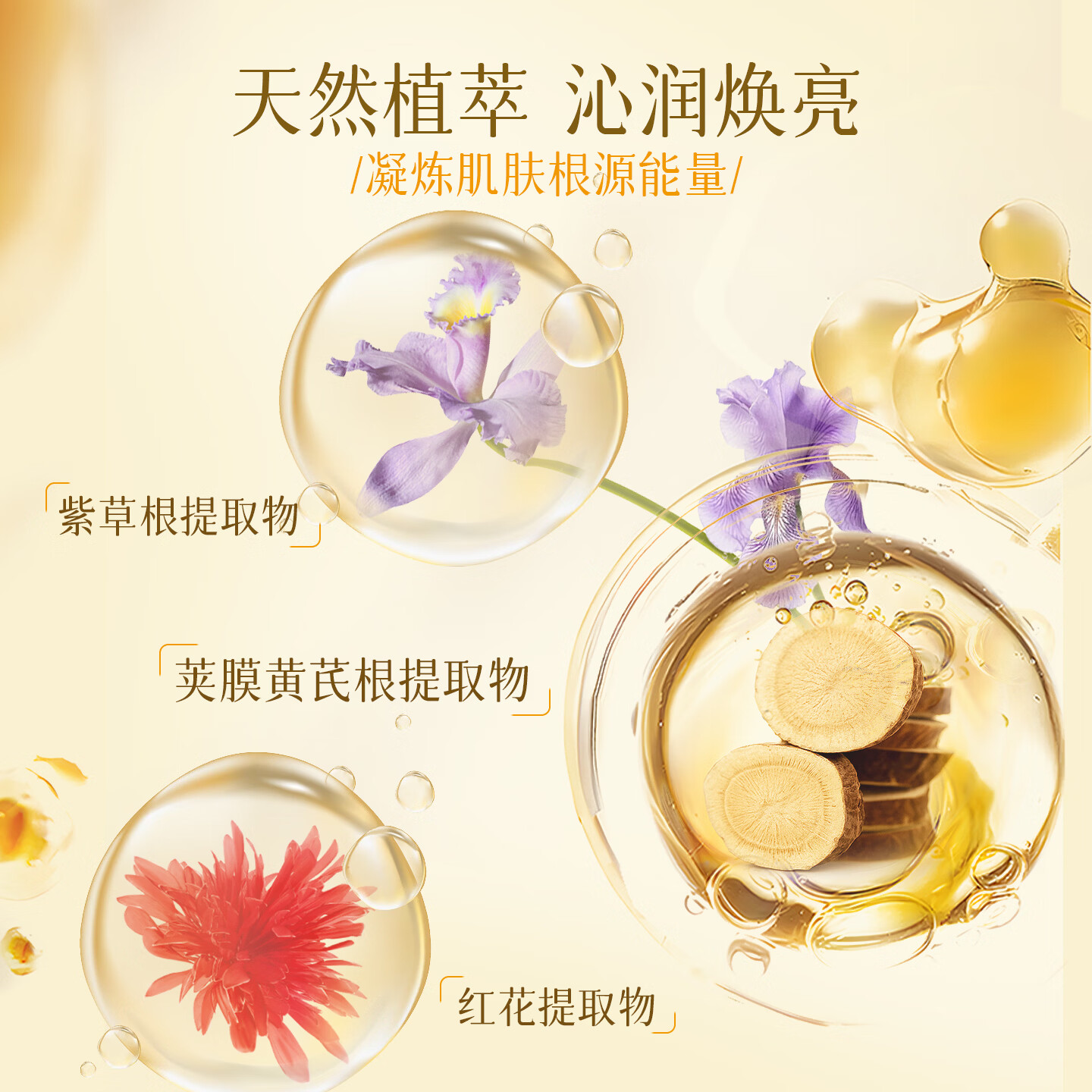 春娟[谭松韵代言同款]黄芪古植臻萃霜40g焕亮滋养紧致舒缓护肤品面霜 尝鲜单瓶【宝石级养肤】