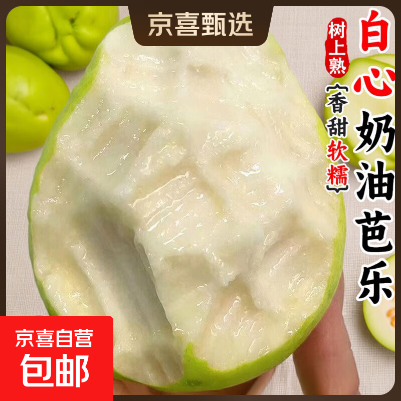 福建红心&amp;白心芭乐新鲜水果5斤番石榴当季软甜奶油胭脂红包邮双拼 【白心芭乐】净重4.5斤单果130-160g