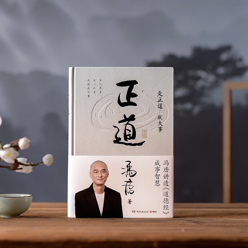 冯唐 冯唐系列作品书籍 正道 有底气 冯唐2025新书 胜者心法资治 正道