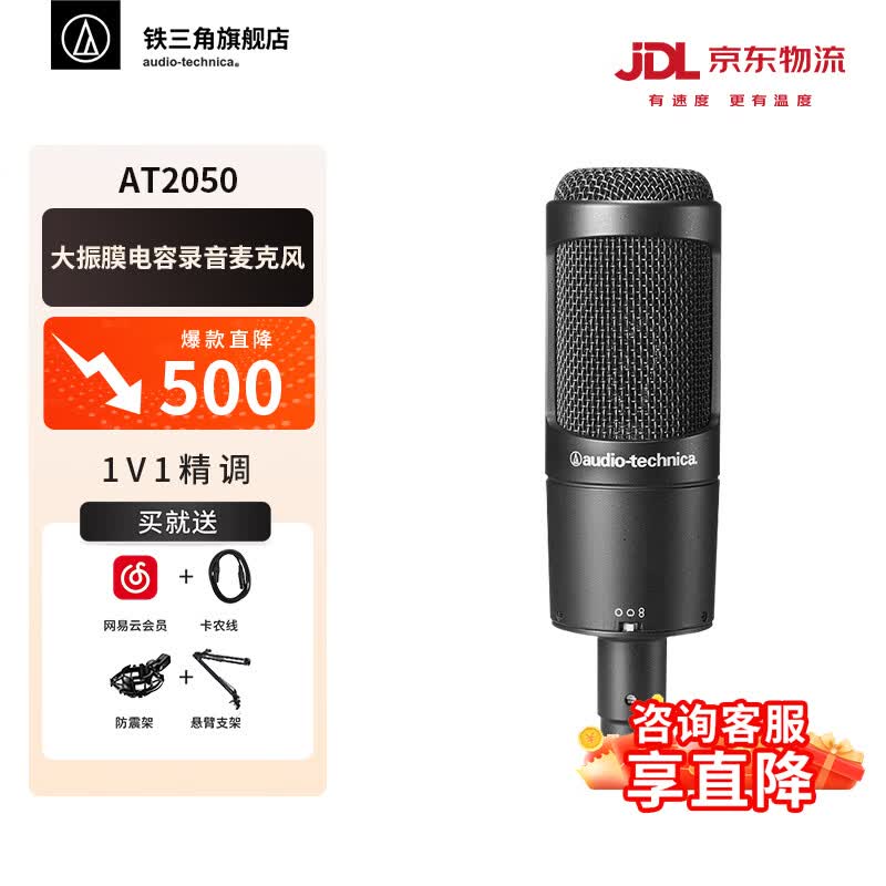 铁三角（Audio-technica） AT2050 电容麦克风 手机直播设备套装 K歌大合唱主播 录音话筒 专业音频设备 直播麦克风 AT2050 麦克风