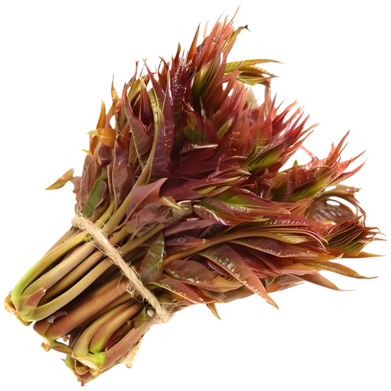 京鲜生 新鲜香椿 香椿芽 净重500g 新鲜蔬菜源头直发包邮