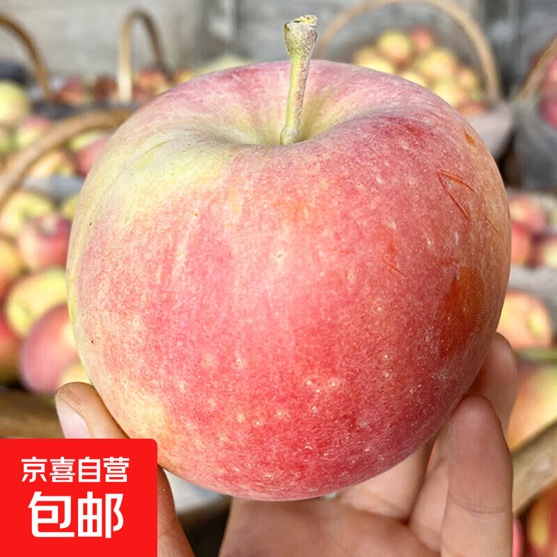 山西红富士丑苹果带箱9斤装 25.8元，海南金钻凤梨净重4.5-5斤3-5个 16.89元 - 折送网