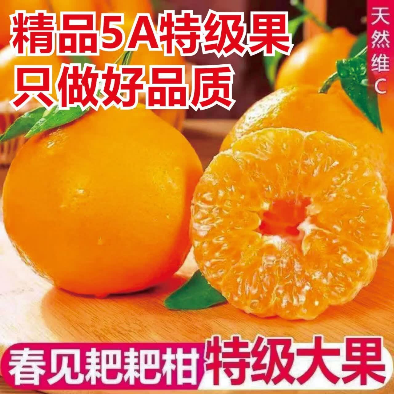 正宗四川摘春见耙耙柑薄皮粑粑柑橘子橙子桔子柑橘好剥整箱水果 1g 净斤果径80mm+共约1820个