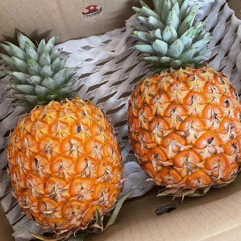 机林有果【树上熟】海南芒果凤梨新鲜热带水果芒果味菠萝特产整箱礼盒 5斤精选中果【2-4个】