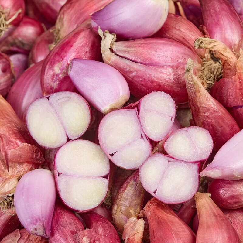 北森南屿四季小香葱种头四川葱种葱种子种籽小葱头红葱本地火葱头种批发 3斤