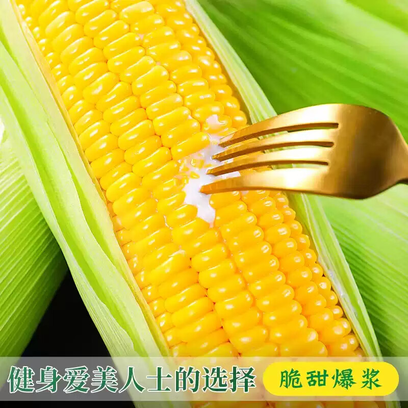 薏品甄鲜云南水果玉米 新鲜蔬菜嫩玉米带皮 产地直采 水果玉米4.5-5斤【4-5个】