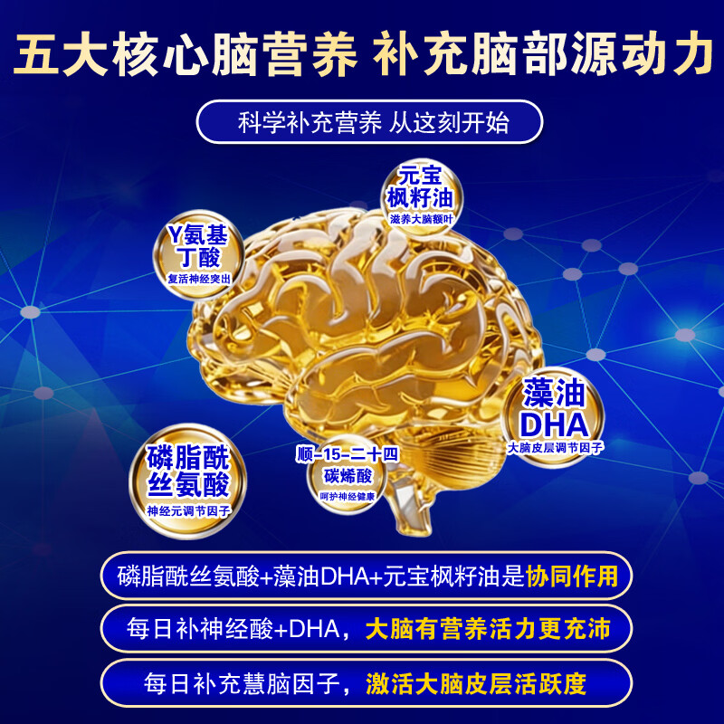 TTU青少年神经酸元宝枫籽油脂酰丝氨酸藻油DHA补大脑记忆力备考学生 11瓶年度特惠装【开学备考冲高分】