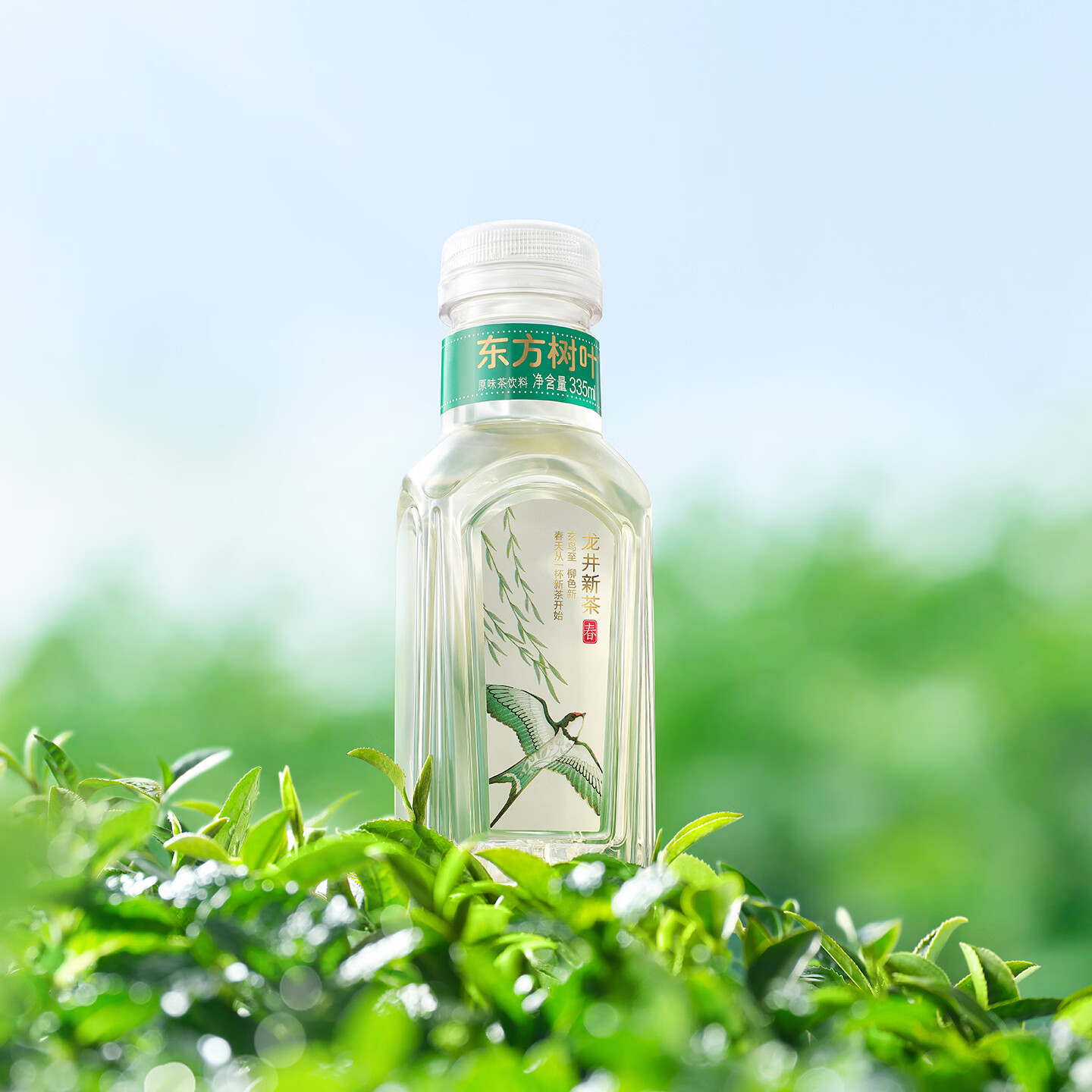 农夫山泉 【新品】东方树叶 2025年龙井新茶无糖茶饮料 335ml*15瓶