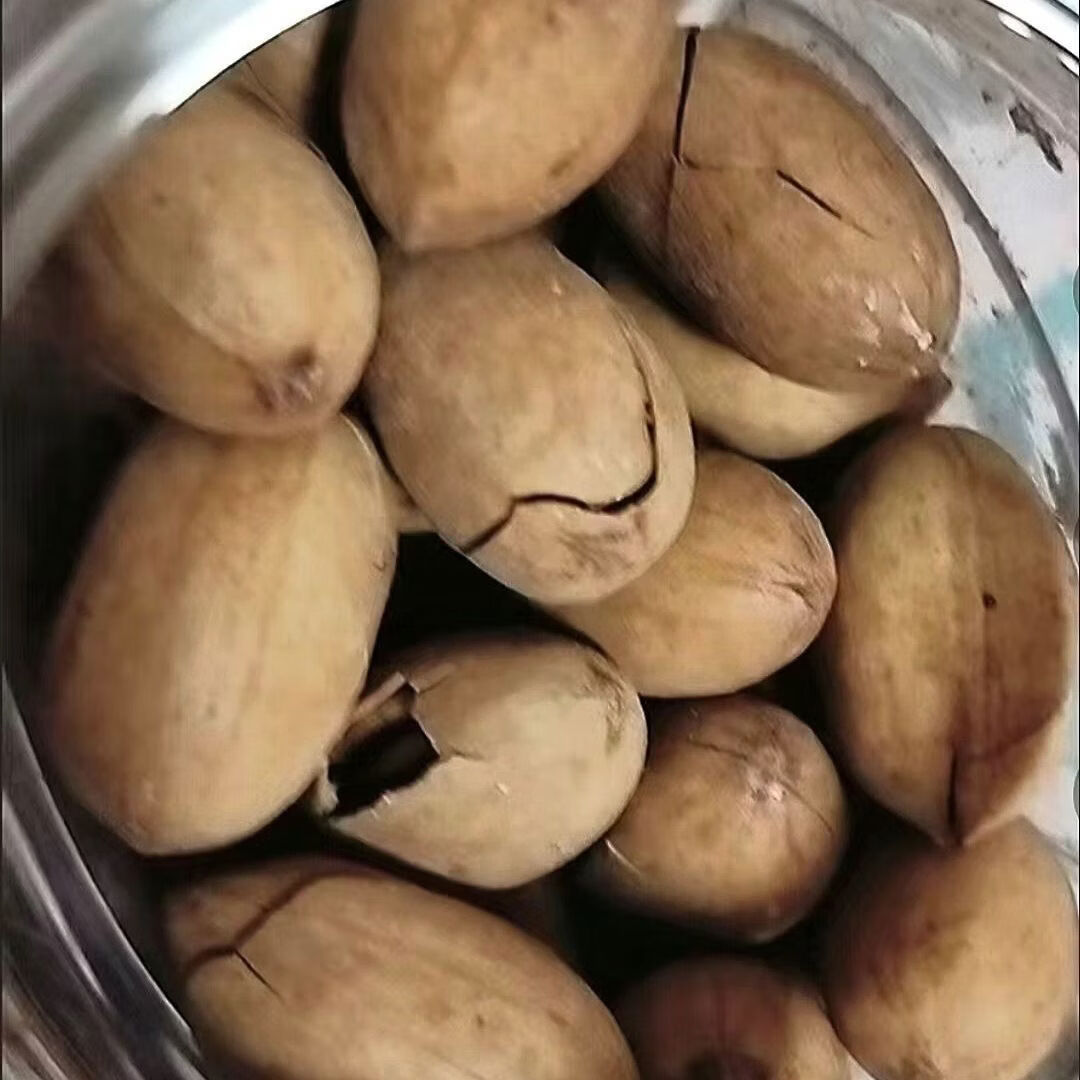 憨豆熊碧根果502g罐裝干果堅(jiān)果仁奶油味山核桃長(zhǎng)壽果休閑小零食 502g 罐裝奶油味碧根果502gx1罐