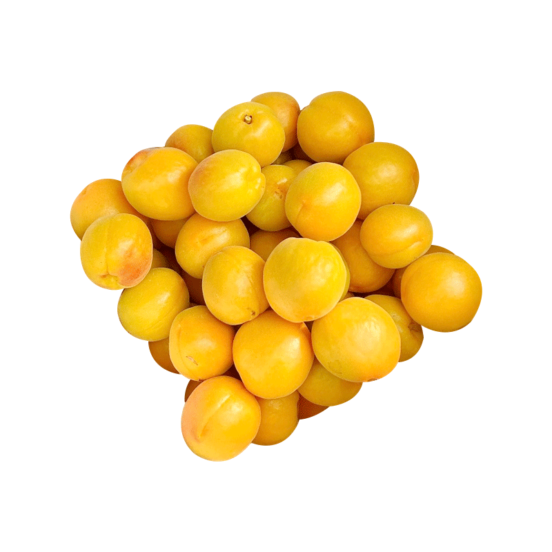 京鲜生山西大黄杏 净重1.5斤 单果45g起 生鲜水果 源头直发