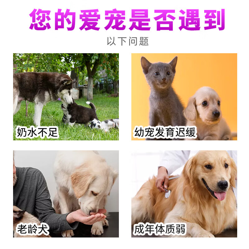 乐施b族宠物猫咪幼猫犬狗狗维生素猫 复合维生素b猫用维生素 乐施-羊奶粉300g