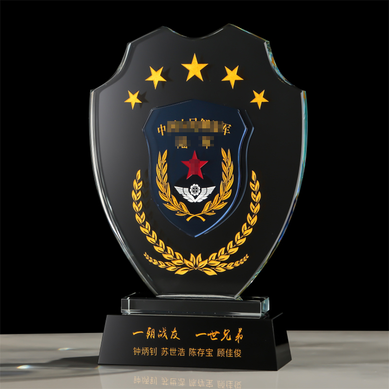 礼物定制八一士兵退役老兵奖杯奖牌专业定制专家 款式一 尺寸14*20cm