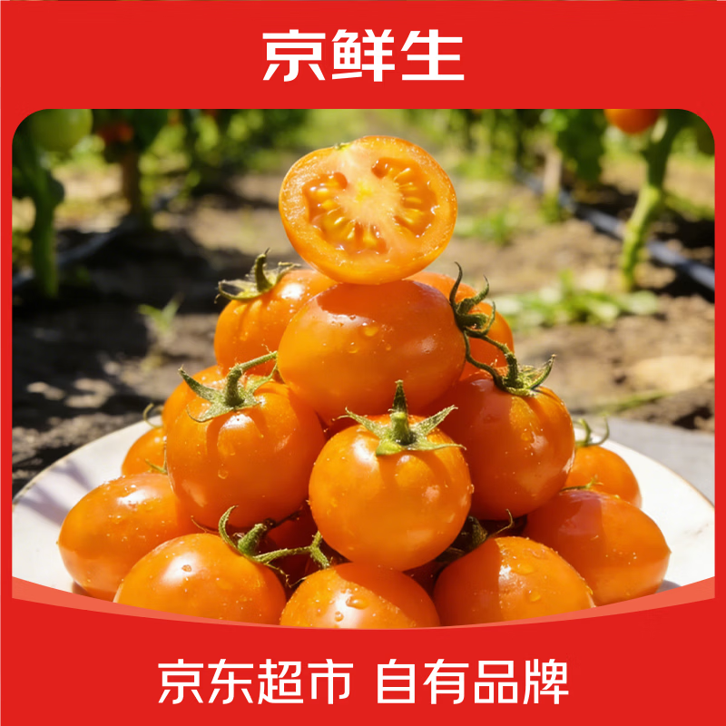 京鲜生辽宁黄金蜜圣女果净重3斤单果5g+ 新鲜蔬菜小番茄 源头直发