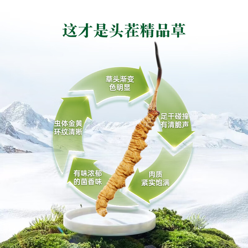 藏汐堂【西藏发货】那曲野生冬虫夏草 新干虫草滋补品 送长辈营养品礼盒 4条/克 40条*1盒 10克【热销款】