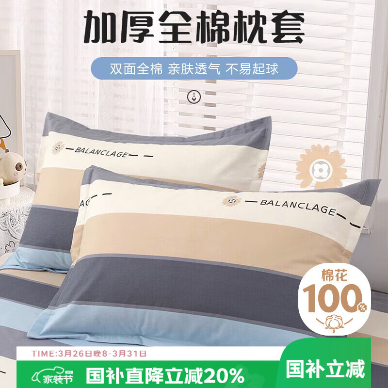 艾薇 A类枕头套纯棉家用全棉单人枕套一对枕芯套 罗马时代 48*74cm