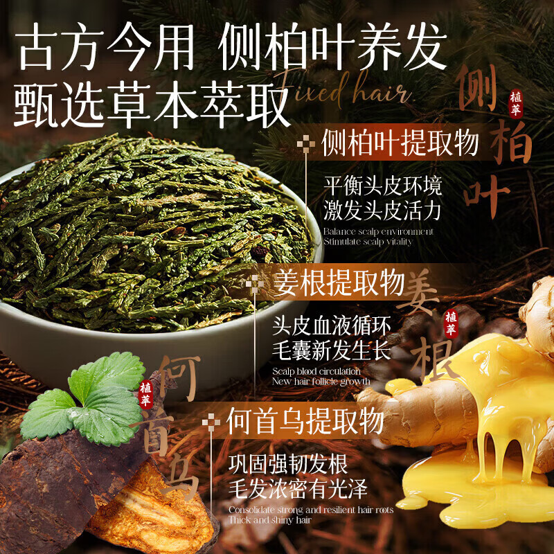 胖东来同款生姜侧柏叶防脱育发洗发水纯中药固发养发增发控油蓬松 3瓶装针对重度脱发长出新发