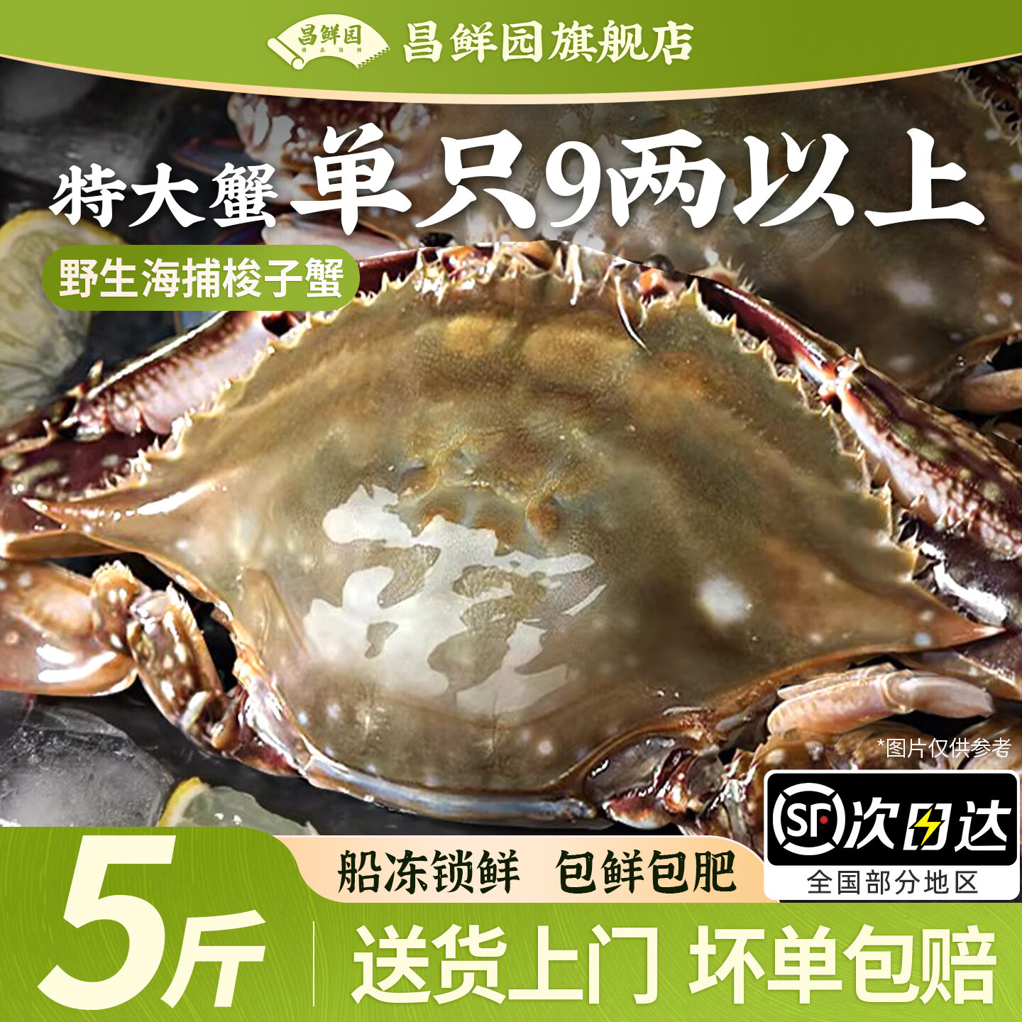 新鲜梭子蟹鲜活冷冻超大螃蟹舟山海鲜水产野生梭子蟹满飞蟹白蟹黄 7-9两/只 【净重5斤 舟山直发】
