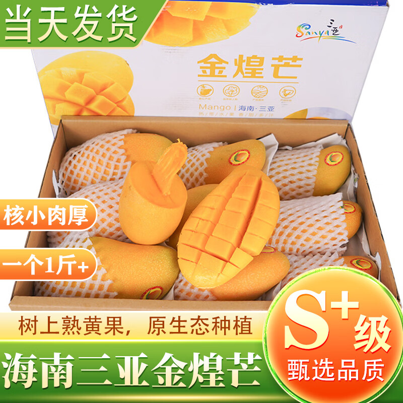 机林有果【树上熟】海南三亚金煌芒果黄皮巨无霸芒果新鲜孕妇水果特产整箱 9-10斤特选大果带箱【单果400g-600g】
