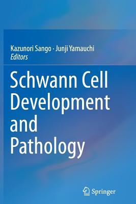 预订 schwann cell development and pathology