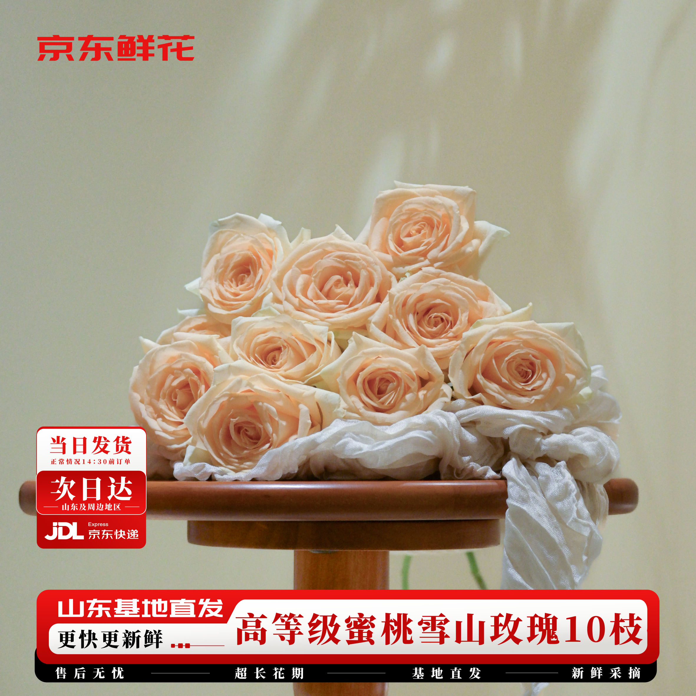 京东鲜花玫瑰花【蜜桃雪山】10枝枝长50-55cm鲜切花礼品花束基地源头直发