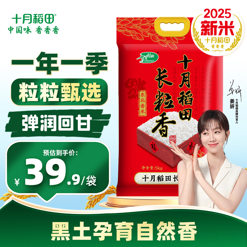 十月稻田  【2025年新米】长粒香大米5kg 东北大米10斤 团购福利 年货送礼