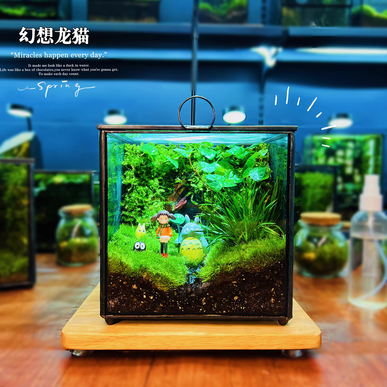 封茗网红趣味桌面绿植摆件苔藓微景观生态缸懒人养护生态闷养盒创意 【山间】