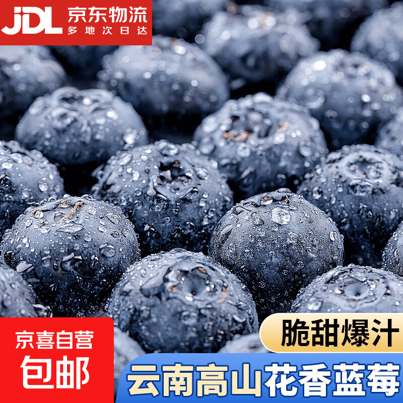云南高山蓝莓【JD快递-多地】超大花香蓝莓果新鲜水果送礼 品质果【单果12mm+】 2盒 越多越划算【100g-125g/盒】