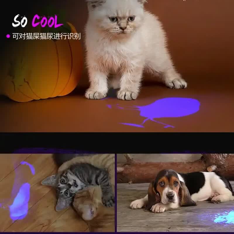 GERTHRON德国猫藓灯激光笔逗猫棒猫玩具逗猫神器自嗨解闷小猫幼猫消耗体力 【伍德氏猫藓灯】小白盒 5种图案 USB充电