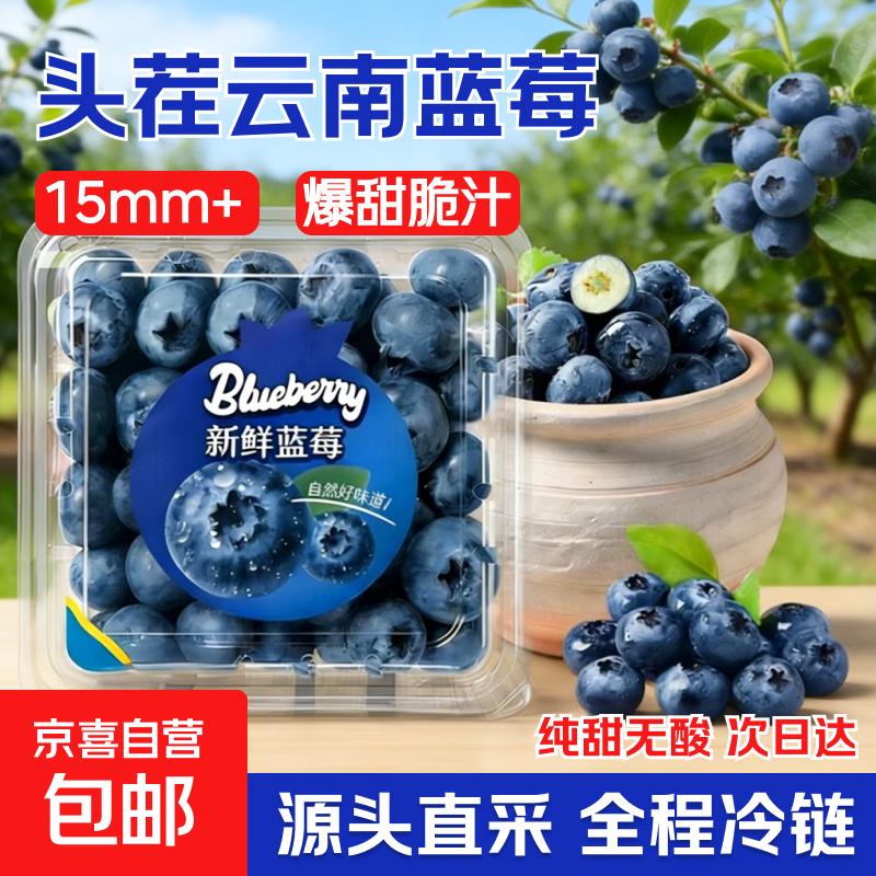 云南蓝莓新鲜蓝莓时令当季特大果花香新鲜水果辅食水果当应季整箱 品质中果【单果15mm+】 4盒小份装【70g/盒】