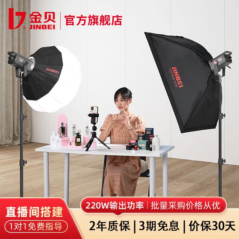 金贝（JINBEI）【直降10%】JL220BI直播补光灯220w可调色温美颜常亮柔光灯视频摄影棚人像发丝拍照打光灯影视灯 双灯套直播带货【标准款】