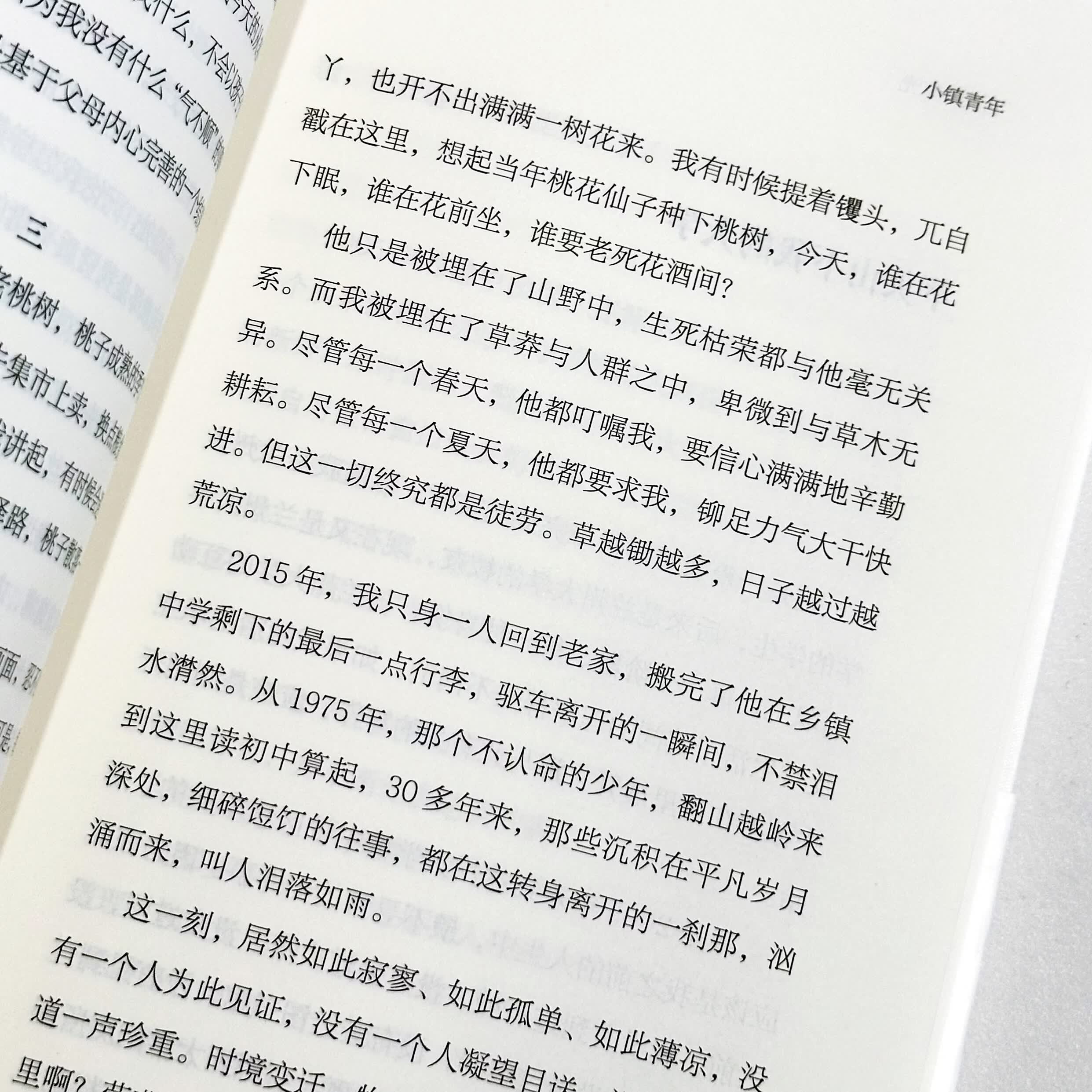 活成一束光 博士论文致谢“可怜无数山”作者 随笔集 中国梦 以最卑微的梦搏击风浪成就人生 中小学生课外文学读物