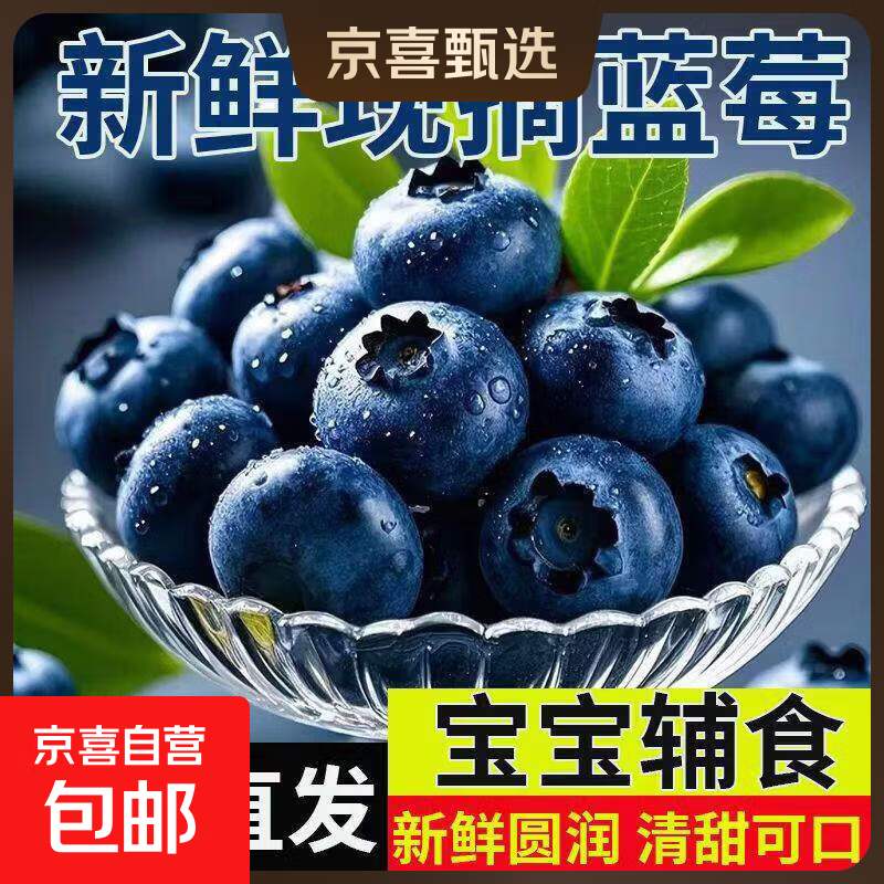 产自云南蓝莓鲜果大果 新鲜当季高山甜蓝梅孕妇水果整箱 6盒 大果 15mm+丨单盒净100g丨当天现摘