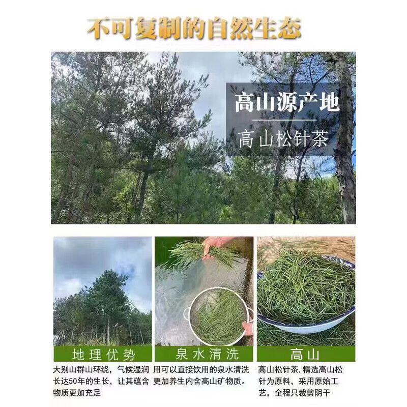 同仁堂(TRT)松针茶叶四川野生中药材松针的功效与作用新鲜马尾松针茶叶泡水喝 特级松针茶3罐 250g*3罐 三高克星