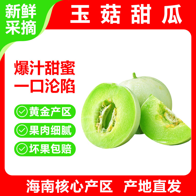 海南玉菇甜瓜 新鲜生鲜水果甜瓜 产地直发 优选果净重4.5-5斤【1-3个】