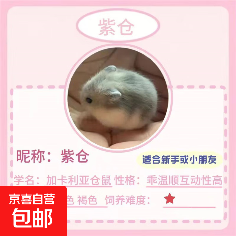 �ϲ� ���߽�˿�� �������� ���� ��˳������� ���� ���� 6.99Ԫ�������߽�˿��  ץ��ʱ����ź���