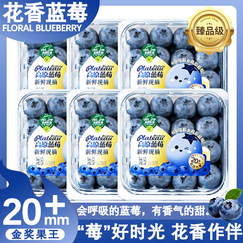 鲁道鲜云南花香蓝莓新鲜果【JD/顺丰-多地次日达】孕妇应季国产水果礼盒 4盒装【单盒100-125g】 12mm+【优选现摘】