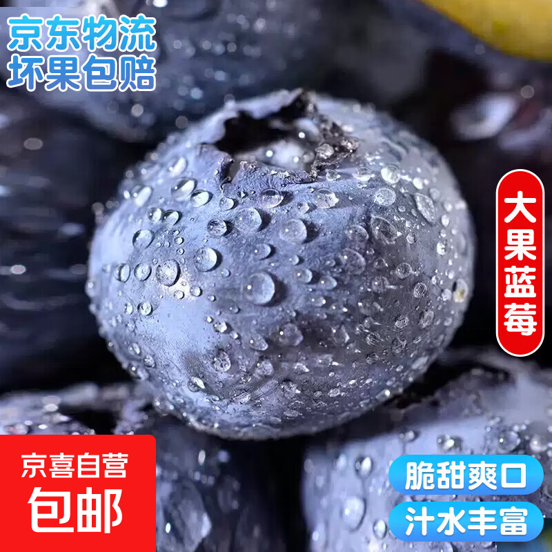 云南国产蓝莓【多地次日达JD快递】超大果新鲜蓝莓 精选孕妇水果 4盒装 多买多划算【70-90g/盒】 中果【单果15mm+】