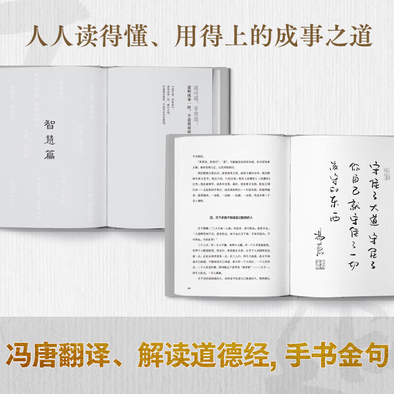 冯唐 冯唐系列作品书籍 正道 有底气 冯唐2025新书 胜者心法资治 正道